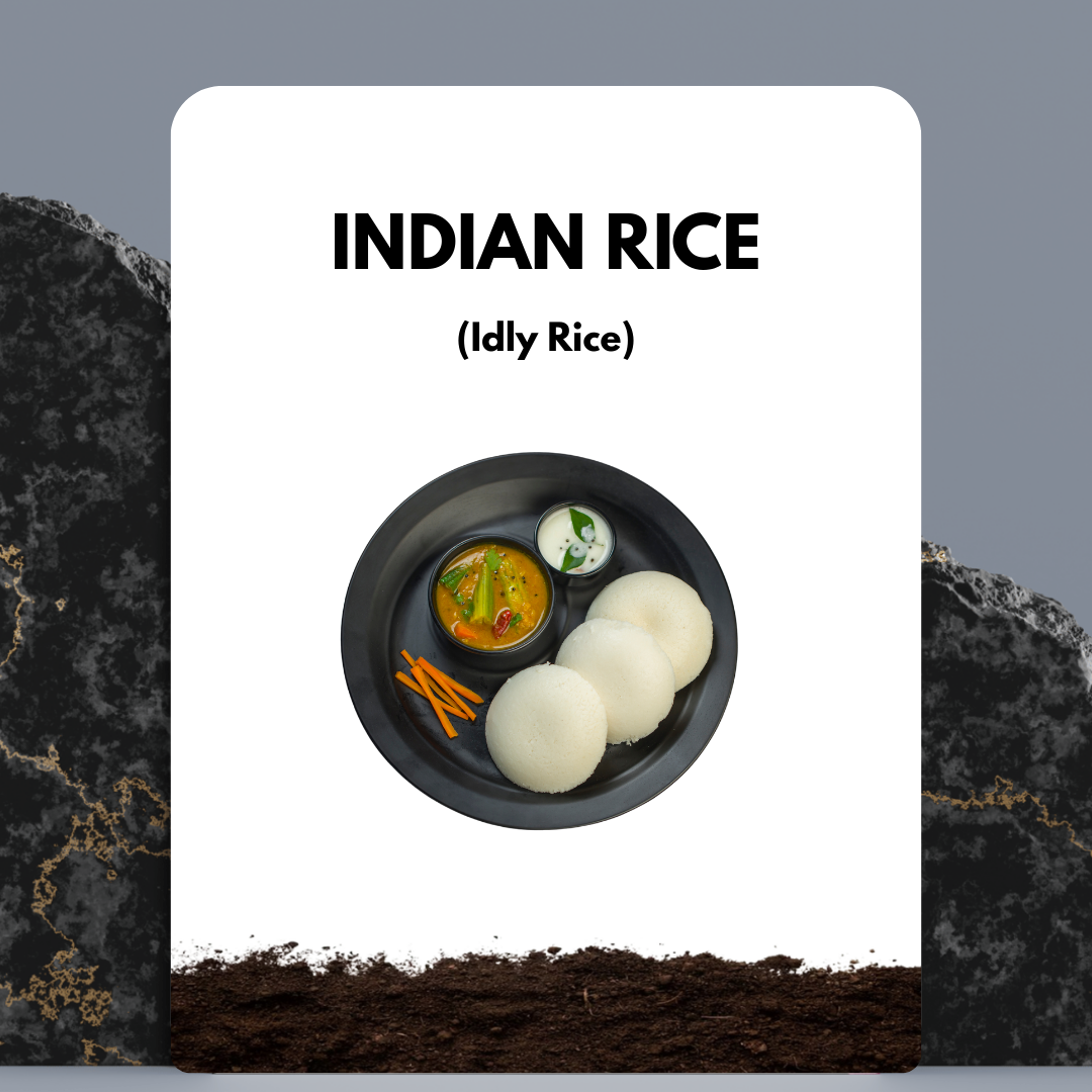 Idly rice