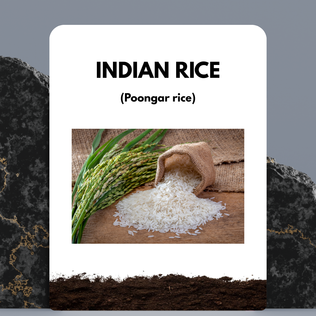 Poongar rice