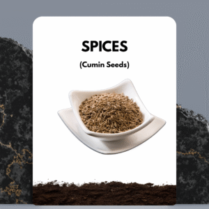Cumin seeds (black & normal)