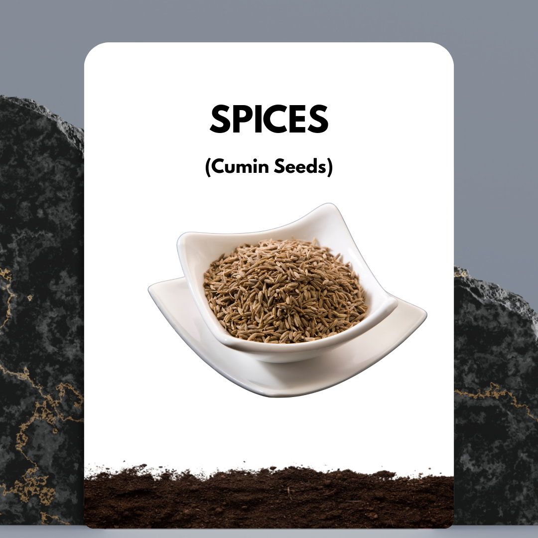 Cumin seeds (black & normal)