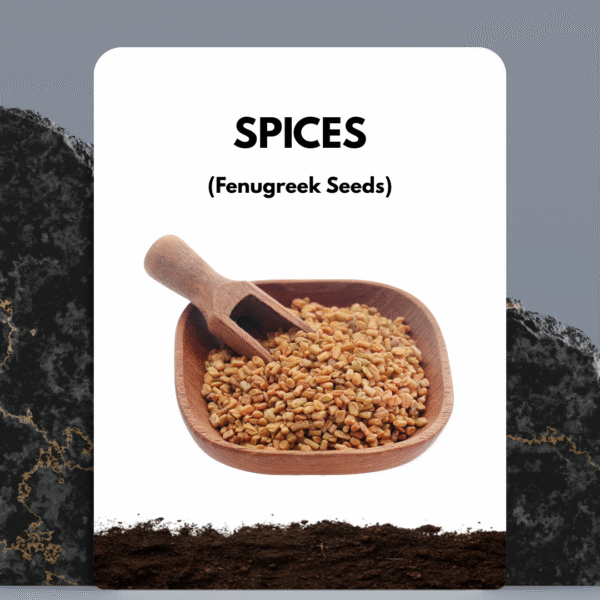 Fenugreek Seeds