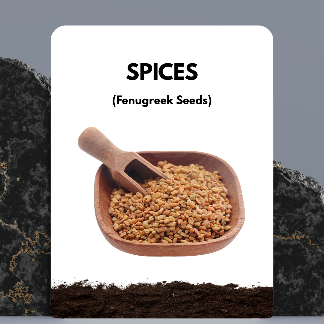 Fenugreek Seeds