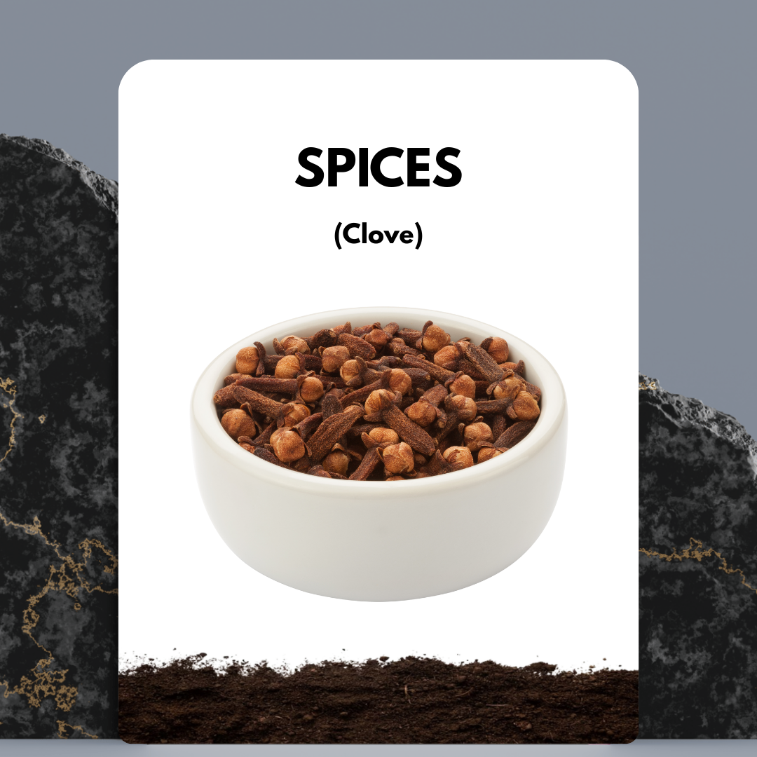 Clove