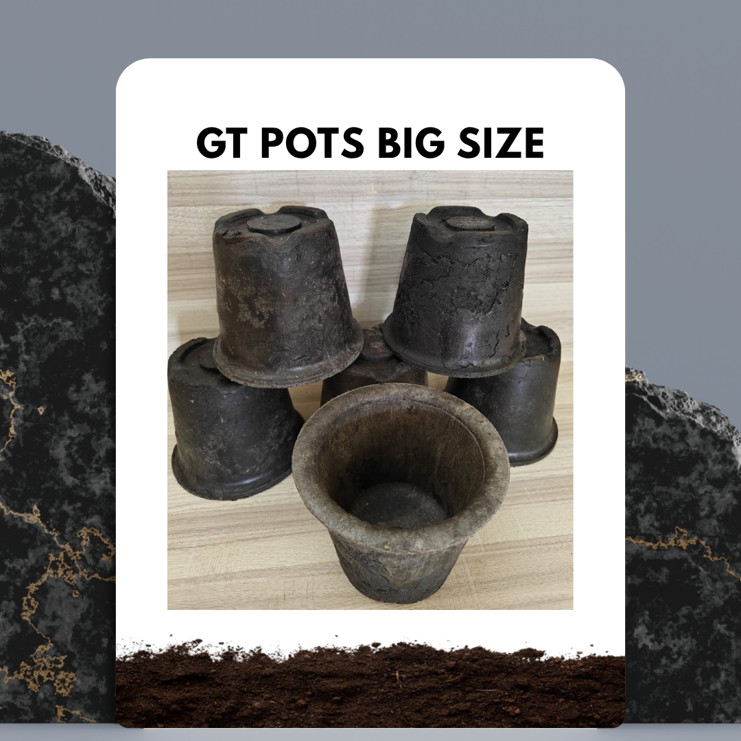 GT Pots