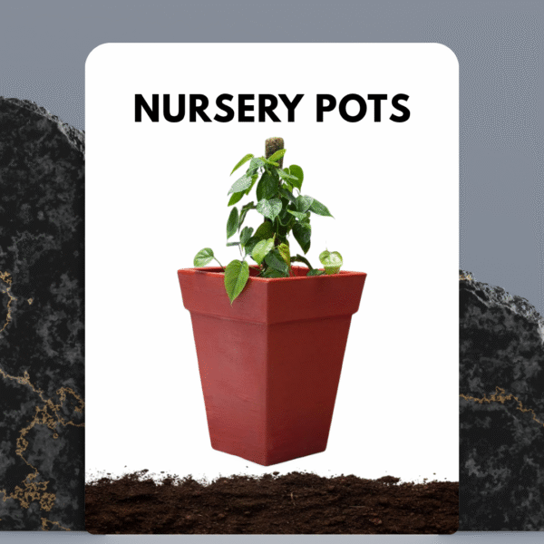 Terracotta Pots