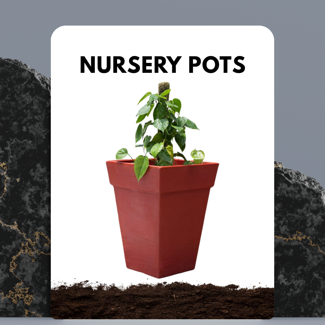 Terracotta Pots
