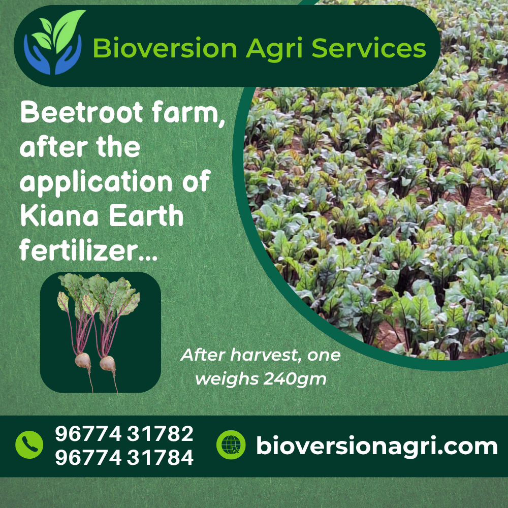 Bioversion Fertilizer Supplier by Bioversion Agri Services